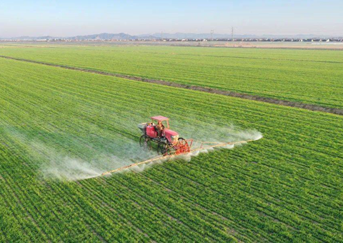 自然资源部：对耕地保护突出问题实行一票否决