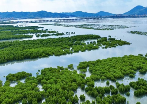 广东发布生态产品目录清单指引