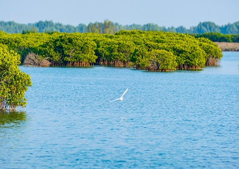国土空间生态保护修复取得明显成效    “山水工程”推动生态治理系统化