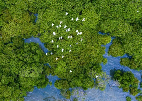 今年1~4月自然资源要素保障数据发布