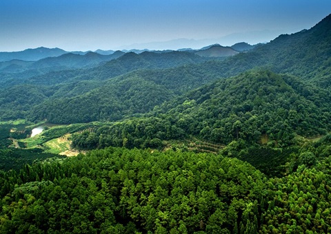 三部门联合发文：规范高效做好林权类不动产登记