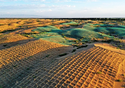 推进科学化、规模化治沙 我国十余年治理沙化土地超三亿亩