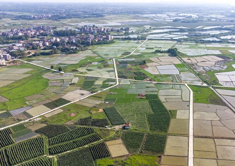 巩固“止减回增”局面 遏制“北粮南运”加剧势头——全国土地日聚焦耕地保护新变化