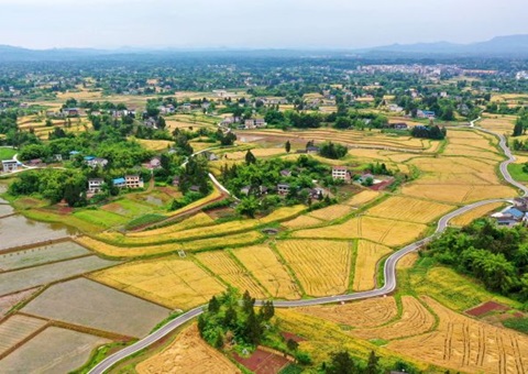 四川加强耕地调入流出管理&nbsp;&nbsp;确保实现稳定利用耕地面积净增加