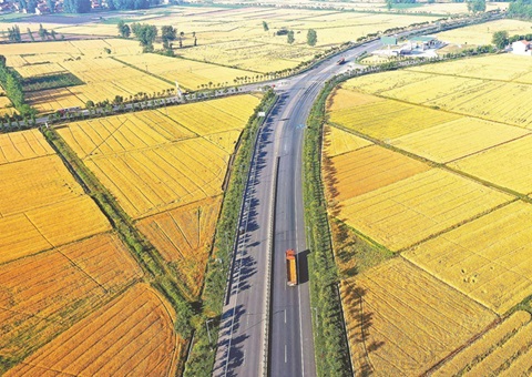 湖北奖励十五个耕保成效突出县（市、区）