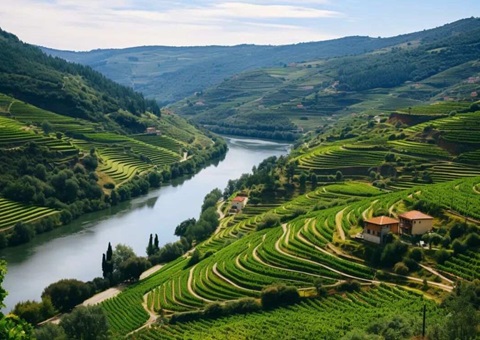 全民所有自然资源资产清查全面启动