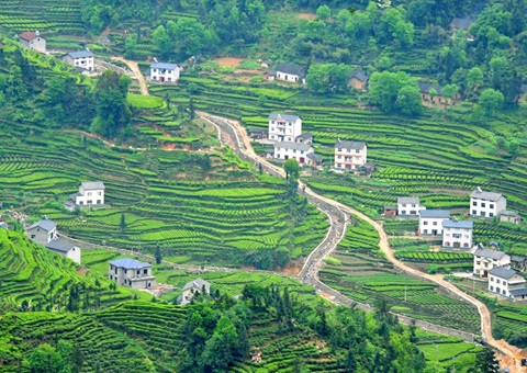 优化土地管理  如何助力优势地区拥有更大发展空间？