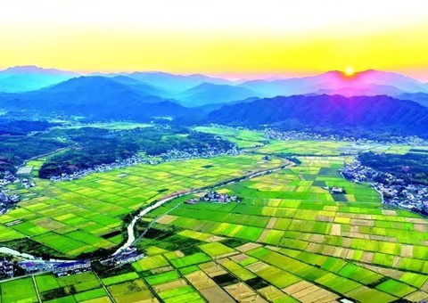 端牢饭碗向未来 ——自然资源系统深化耕地保护制度改革述评