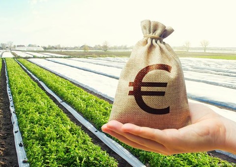 五部门联合开展加强金融支持乡村全面振兴专项行动