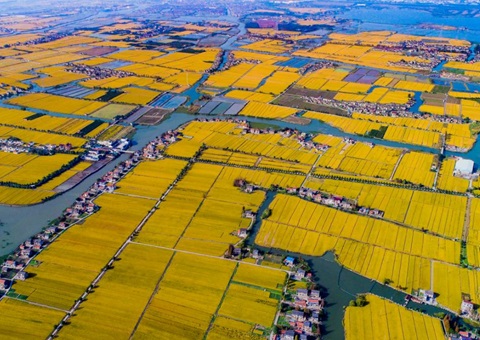 转动空间”魔方”——全域土地综合整治面面观