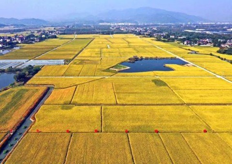 报告显示：全国累计建成高标准农田超过10亿亩