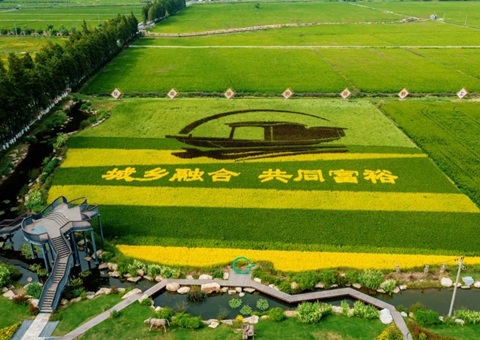 第二批全域土地综合整治试点典型案例发布