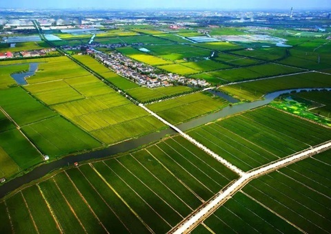 1758万亩！我国耕地“三连增”从哪里来？