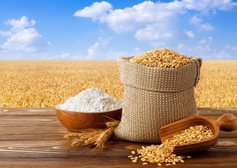 如何理解健全保障耕地用于种植基本农作物管理体系