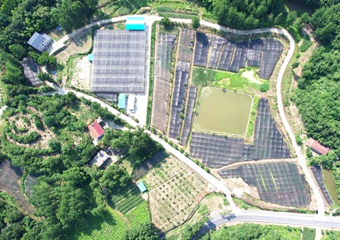 湖北省土地承包经营权纳入不动产统一登记取得新成效——实现全省“停旧发新”