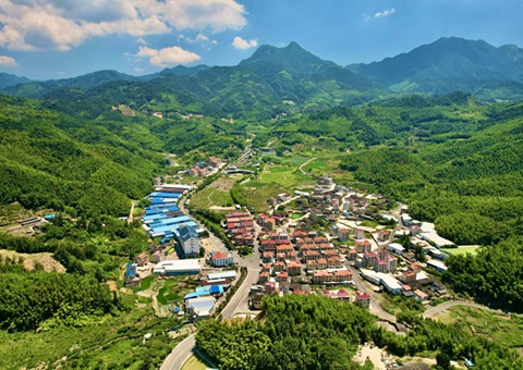 福建深化运用“知、督、促”工作机制——靶向发力 护航乡村振兴