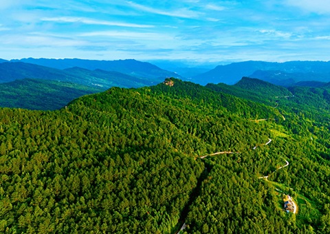 四川发布第4号总林长令&nbsp;&nbsp;全面深化集体林权制度改革