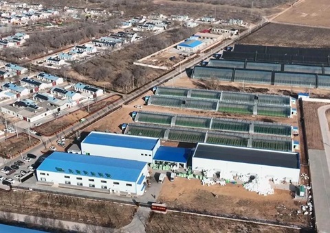 成交金额8416.32万元 &nbsp;&nbsp;宁夏探索出农村集体经营性建设用地入市新路径