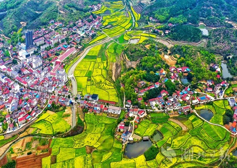 “点土成金”育新机——全域国土综合整治为湖北乡村全面振兴赋能