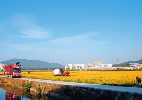 瞭望｜广东：“耕”出新动能 “连”出好风景