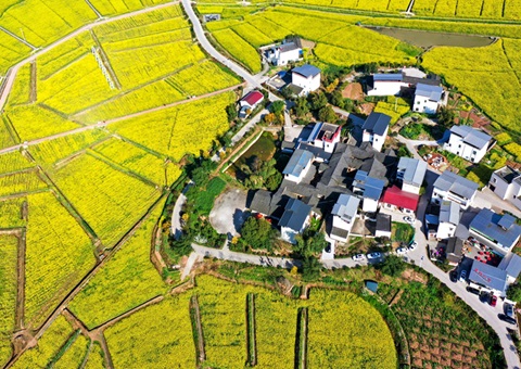 205.7亿元！&nbsp;&nbsp;四川财政下达2025年衔接推进乡村振兴补助资金