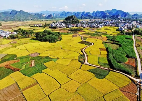 强化“指挥棒”作用&nbsp;&nbsp;柳州市发放500万元耕地保护“激励红包”