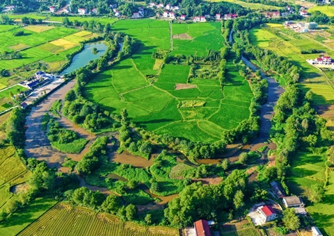 湖南出台首部省直管土地资产处置办法       “沉睡土地”加速转化“发展活水”