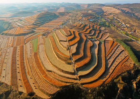 《宁夏回族自治区土地征收管理办法》2025年11月1日起施行
