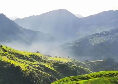 综合施策 协同发力｜贵州省严厉打击私挖盗采矿产资源违法行为