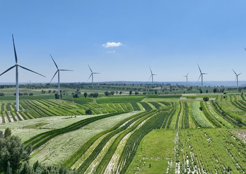 陕西省榆林市定边县：国土空间规划“一张图”实现业务“一站式”高效办理