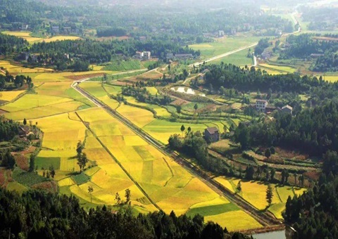 四川省广元市经开区多措并举盘活系统闲置土地为发展注入新动能