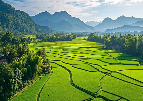 “自然资源+税务”协同共治！崇左筑牢耕地保护与税收“双防线”