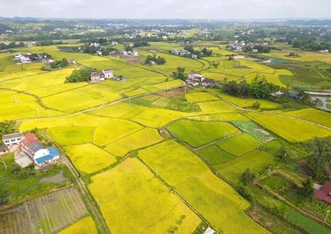 四川省遂宁市局多举措加强临时用地审批服务与管理