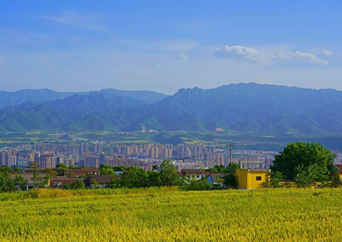 宝鸡市提交永久基本农田储备库成果