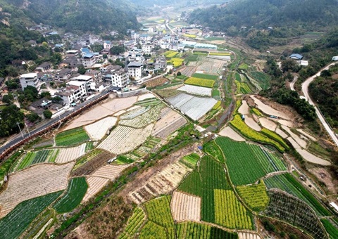 从闲置荒地到产业热土！晋江3入市项目挂牌成交