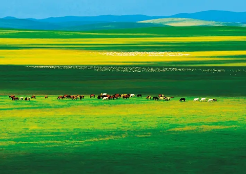 内蒙古：绘就绿色发展画卷守护北疆绿水青山