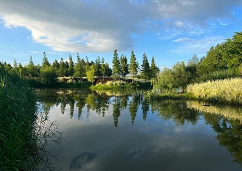 湖北武汉：“人工智能+”赋能湿地智慧建造新模式