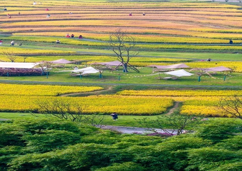 四川省成都市龙泉驿区局“三化”工作法提升规划土地核实效能