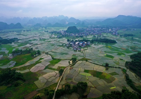 重磅释放！玉林市29宗核心地块集中推介解锁投资新商机