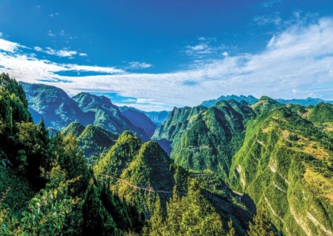 四川省建设“天府森林四库”现场推进会召开  聚力打造全国“森林四库”建设示范省