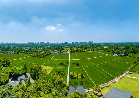 四川省成都市温江区局以综合监管驾驶舱为核 &nbsp;&nbsp;全面激活数智治理新效能