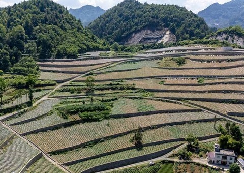 “三资”改革激活“三荒”资源  &nbsp;&nbsp;湖北宣恩蹚出生态价值转化新路径