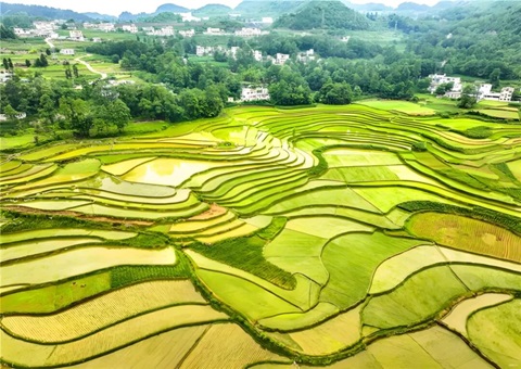 贵州省首份土地供应电子合同成功签订