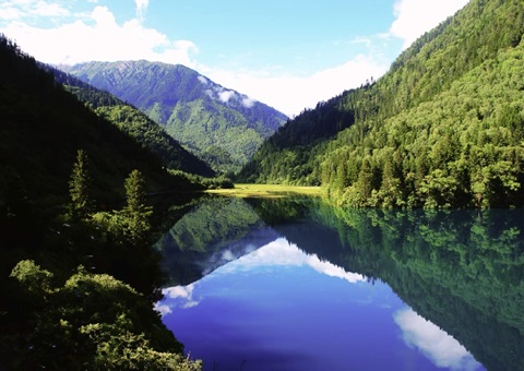 预计2025年底，四川省“林粮”产量1500万吨、产值1800亿元