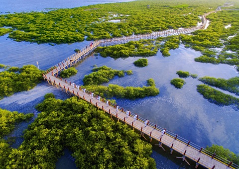 北海市打出自然资源要素保障“组合拳”  精准赋能乡村全面振兴