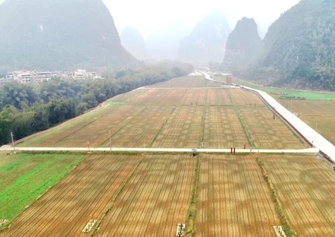 广西首批300万元全域土地综合整治奖励性补助兑现   推动“依效奖补、以评促建”落地