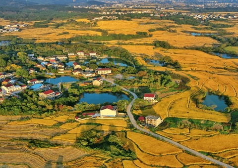 四川出台政策性金融支持全域土地综合整治工作的通知