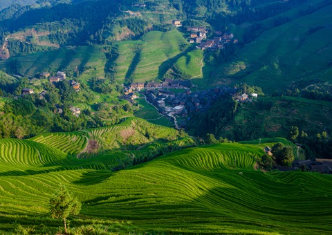 普洱市开启“绿海明珠”自然资源管理新纪元