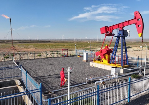 宁夏纵深推进新一轮找矿突破战略行动，实施一批煤层气、页岩气、煤炭等勘查项目