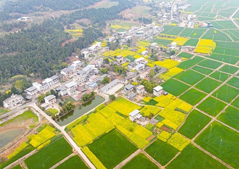 四川省委办公厅、省政府办公厅印发《关于深化农村土地要素市场化改革的意见》